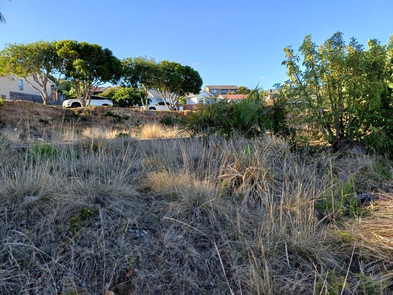 Vacant Land Residential For Sale in Dana Bay - Photo 5