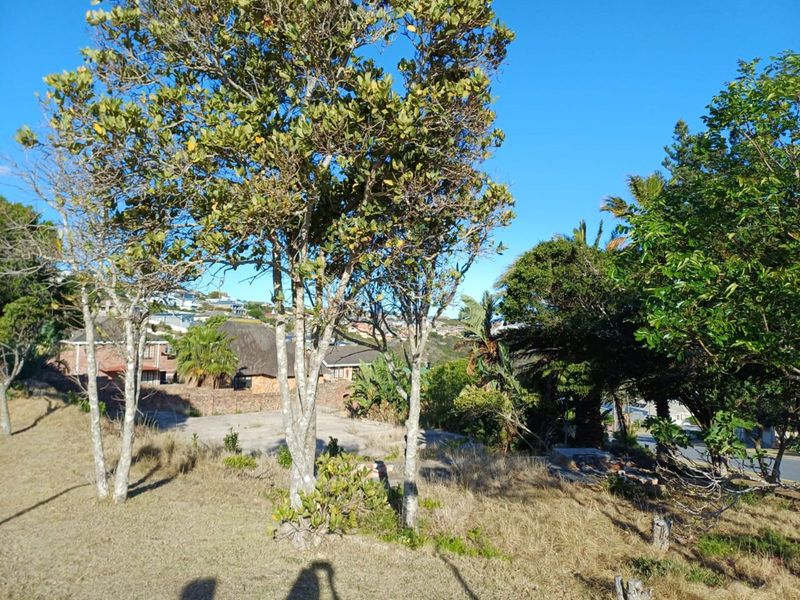 Vacant Land Residential For Sale in Dana Bay - Photo 9