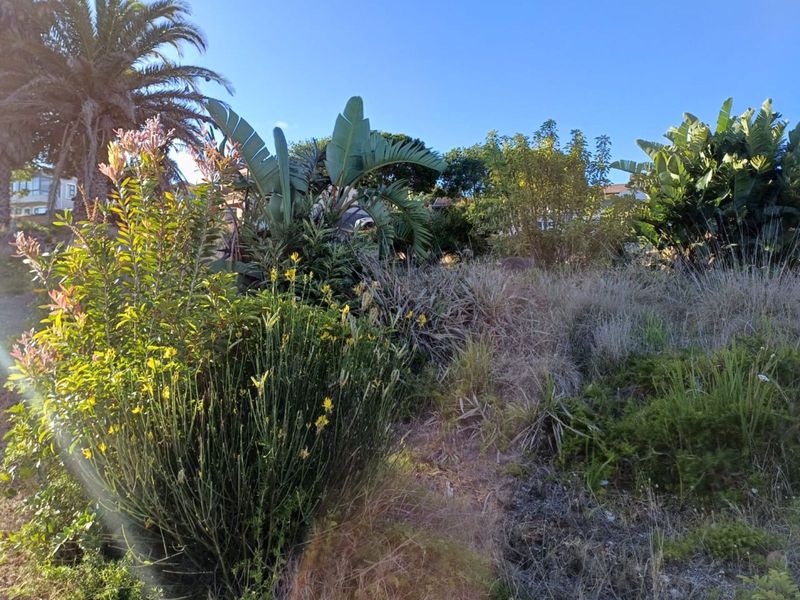 Vacant Land Residential For Sale in Dana Bay - Photo 8