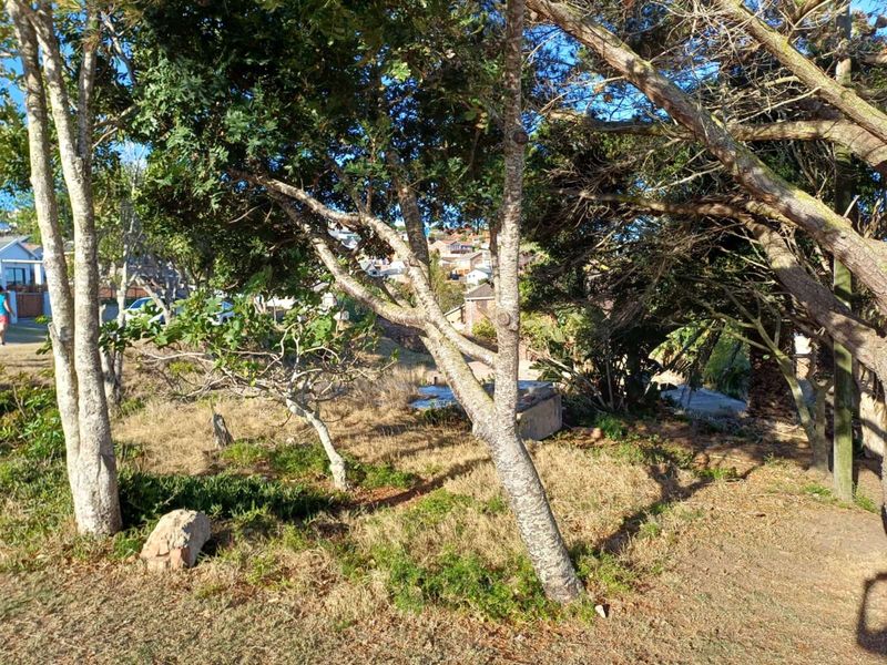 Vacant Land Residential For Sale in Dana Bay - Photo 6