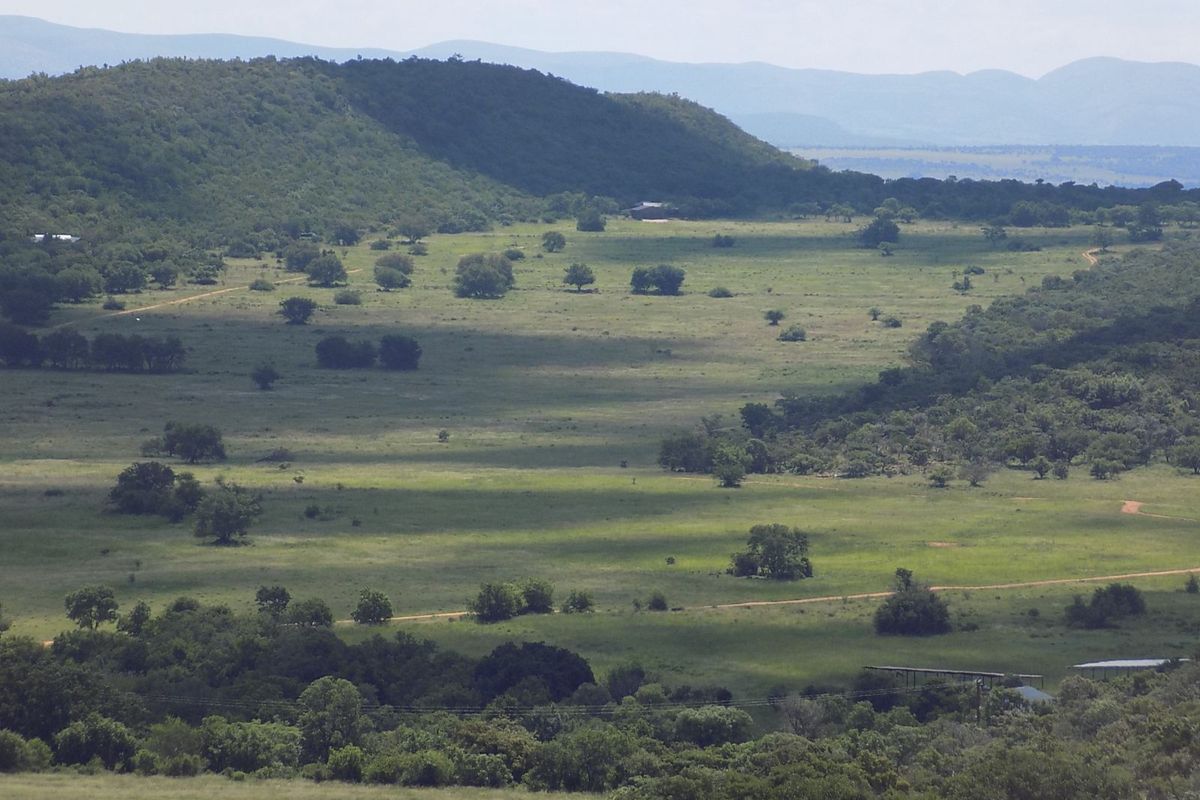 Farm For Sale in Modimolle Rural - Photo 3