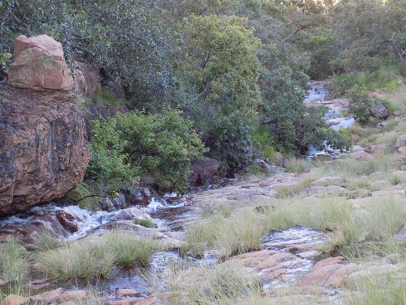 Farm For Sale in Modimolle Rural - Photo 6