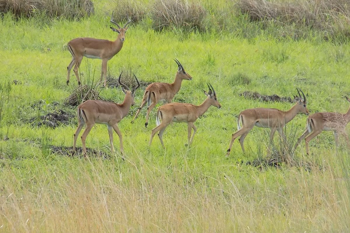 Farm For Sale in Modimolle Rural - Photo 2