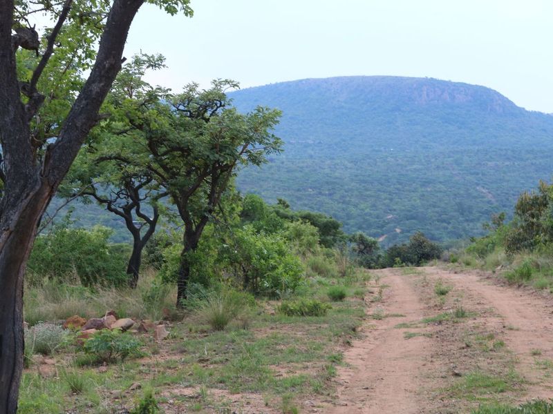 Farm For Sale in Modimolle Rural - Photo 8