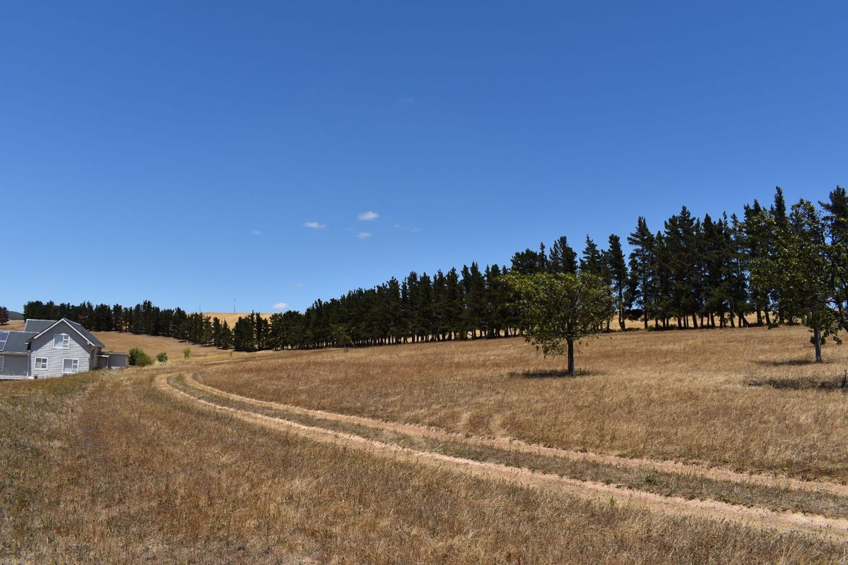 Vacant Land Residential For Sale in Theewaterskloof - Photo 2