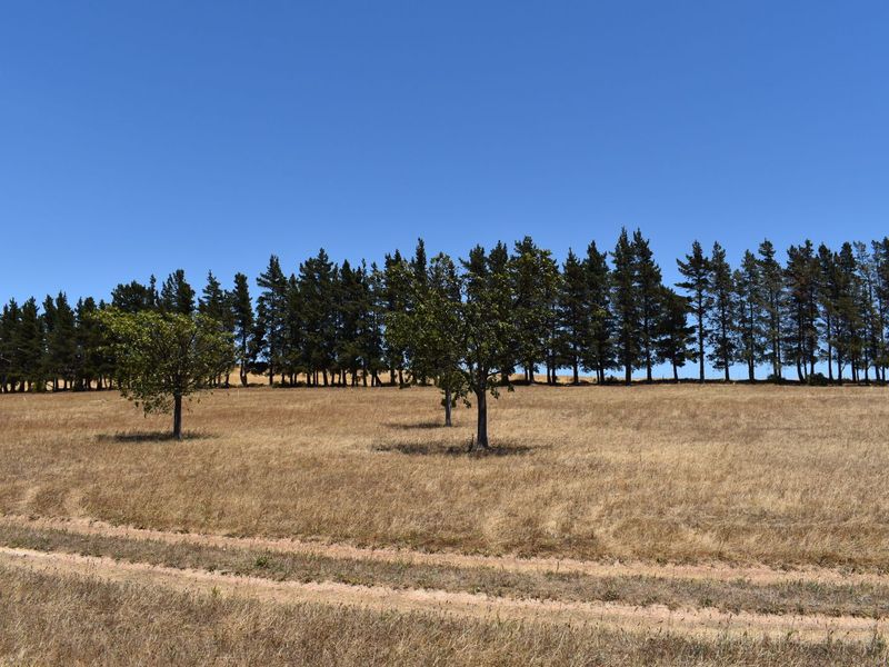 Vacant Land Residential For Sale in Theewaterskloof - Photo 3