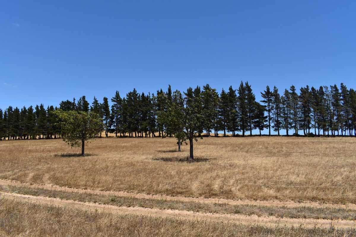 Vacant Land Residential For Sale in Theewaterskloof - Photo 3