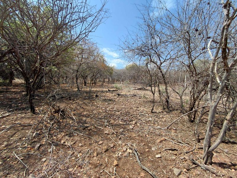 Vacant Land Residential For Sale in Leeupoort - Photo 2