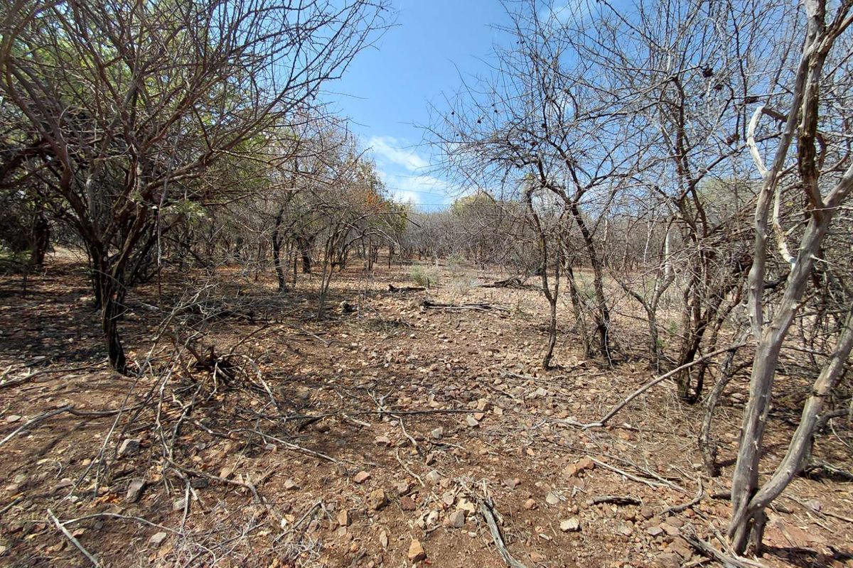 Vacant Land Residential For Sale in Leeupoort - Photo 2