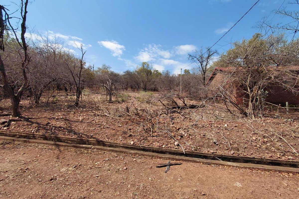 Vacant Land Residential For Sale in Leeupoort - Photo 5