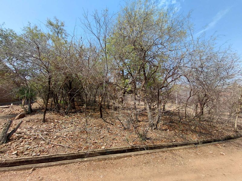 Vacant Land Residential For Sale in Leeupoort - Photo 3