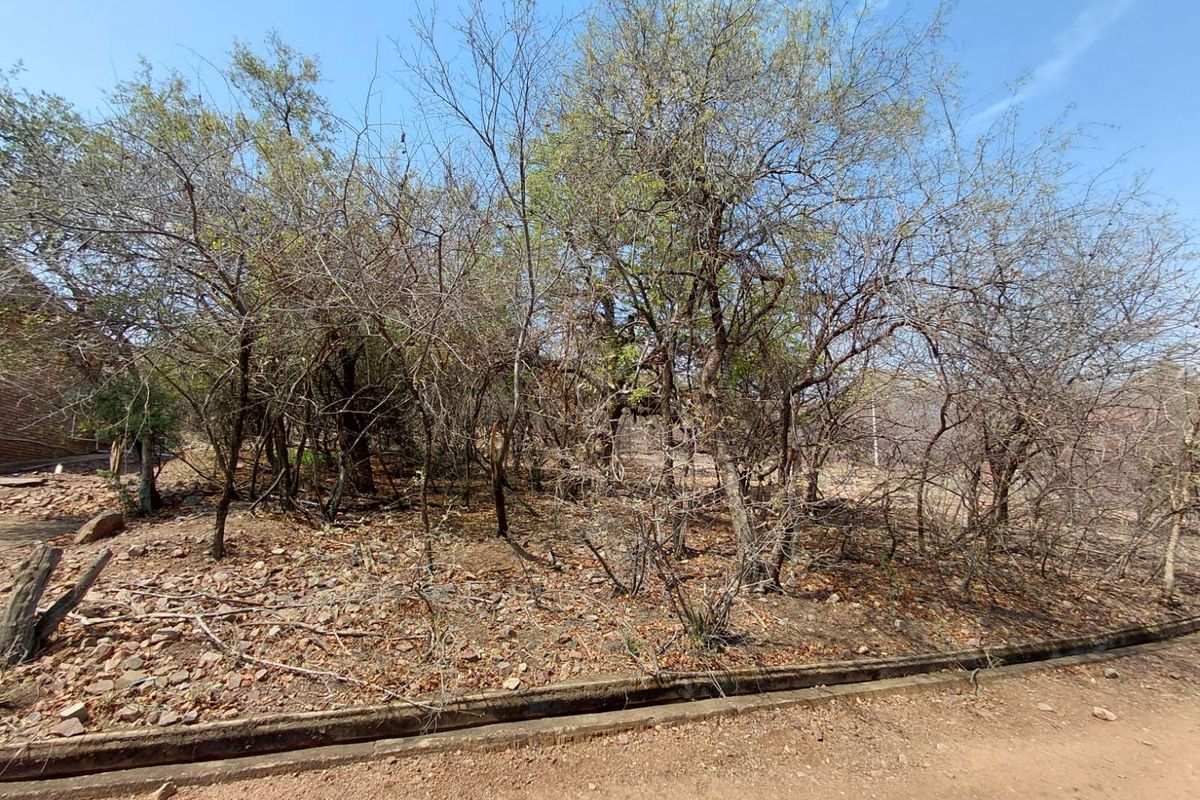 Vacant Land Residential For Sale in Leeupoort - Photo 3