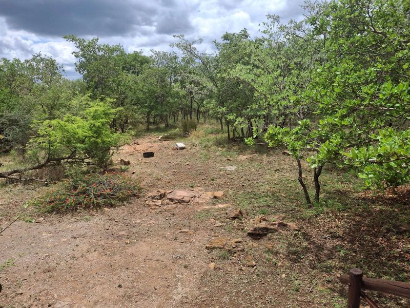 Farm For Sale in Rooiberg - Photo 3