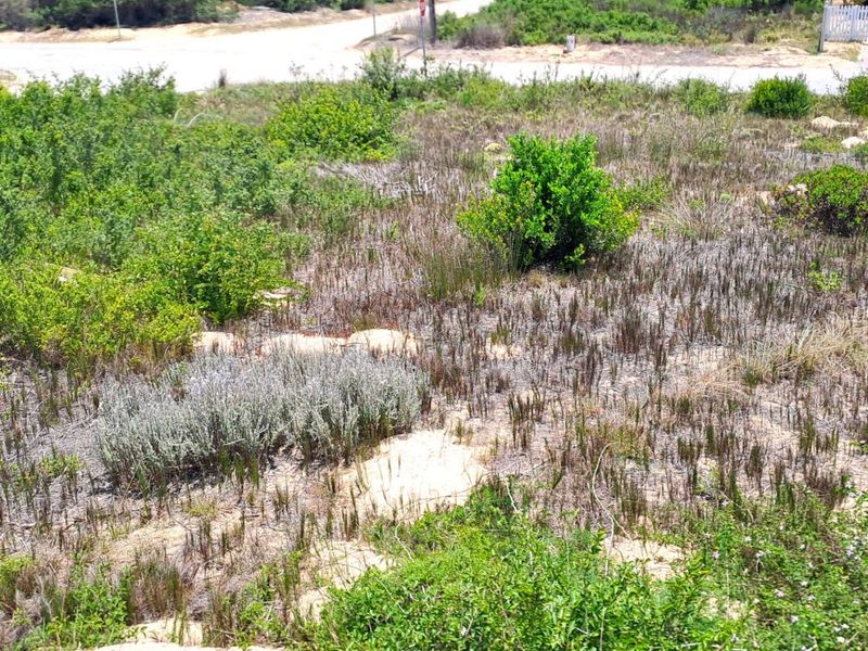 Vacant Land Residential For Sale in Kleinkrantz - Photo 5