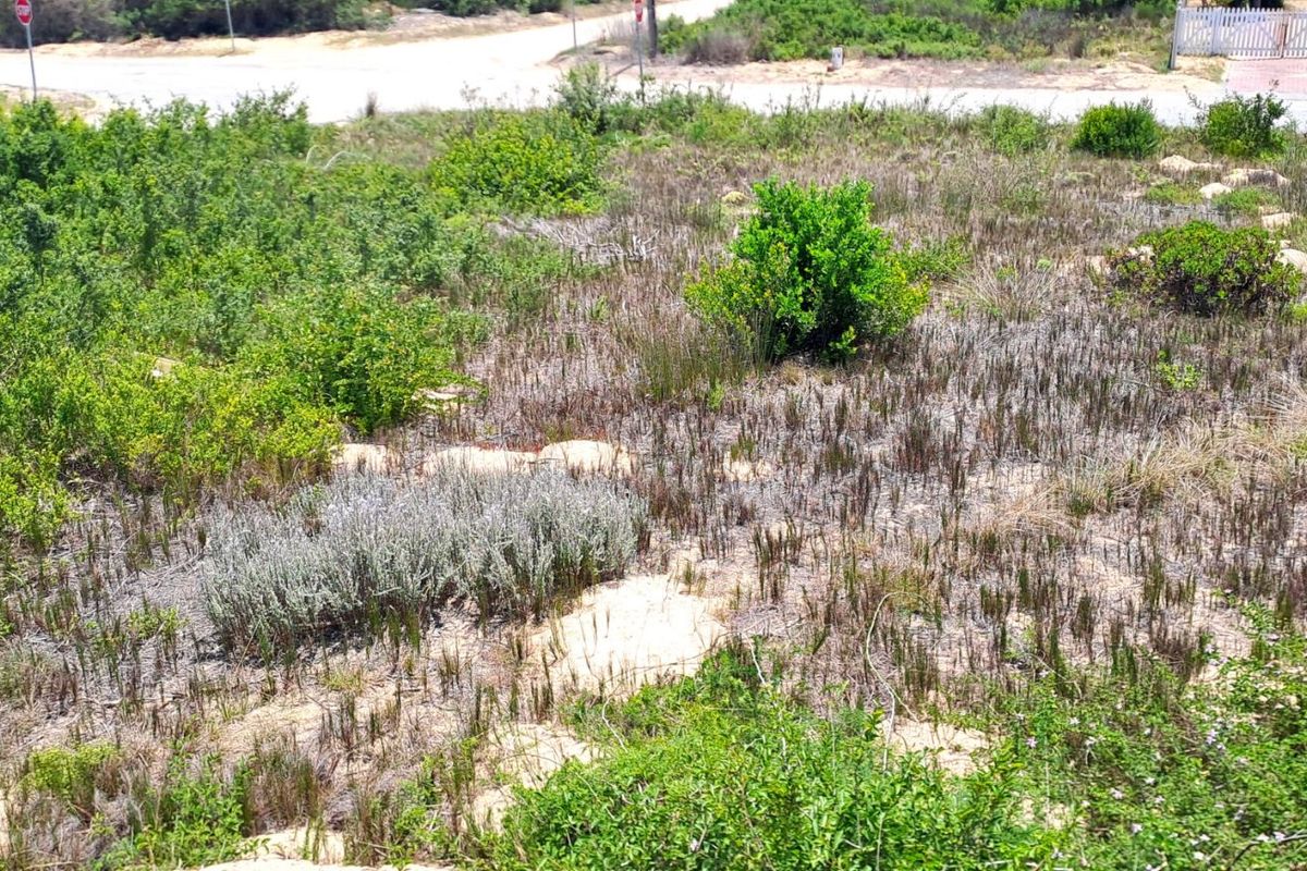 Vacant Land Residential For Sale in Kleinkrantz - Photo 5