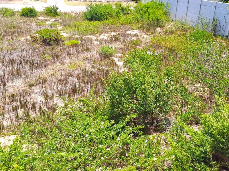 Vacant Land Residential For Sale in Kleinkrantz - Photo 6