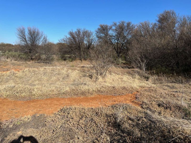 Vacant Land Residential For Sale in Orania - Photo 5