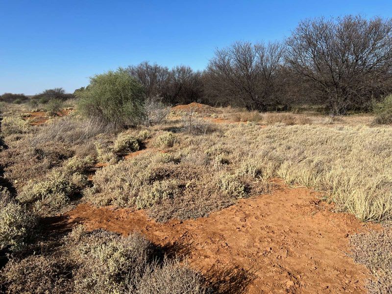 Vacant Land Residential For Sale in Orania - Photo 7