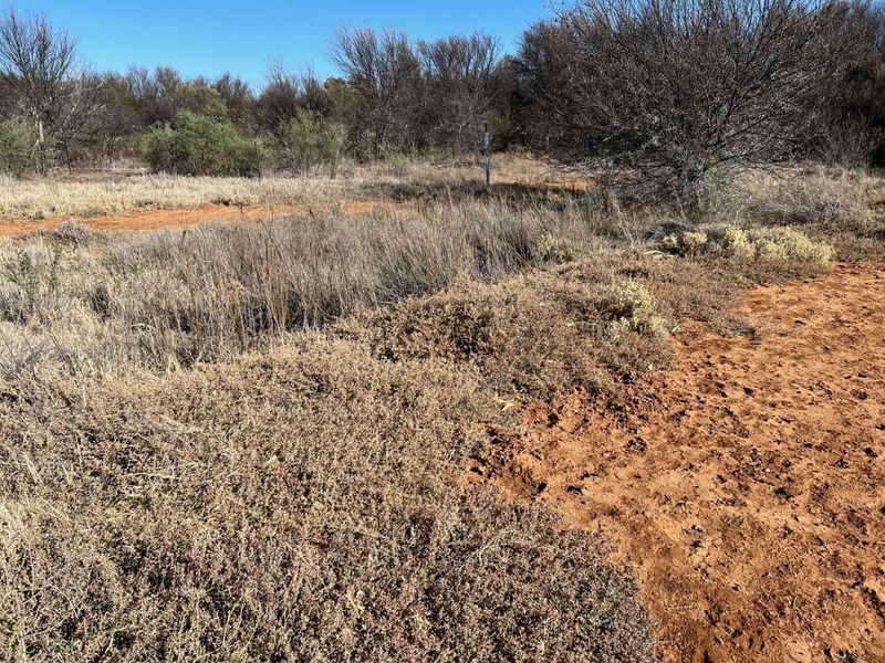 Vacant Land Residential For Sale in Orania - Photo 6