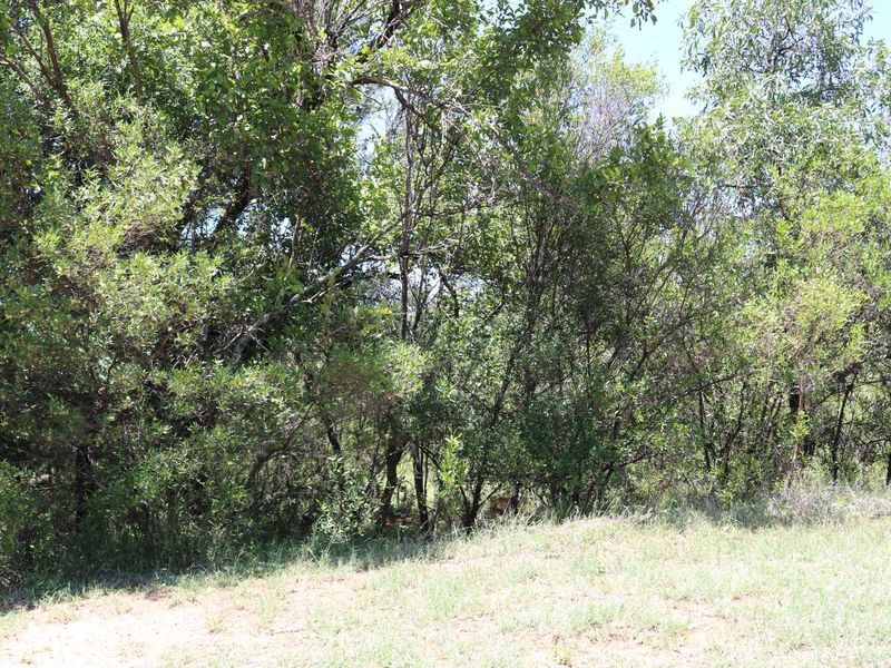 Vacant Land Residential For Sale in Koro Creek Golf Estate - Photo 5