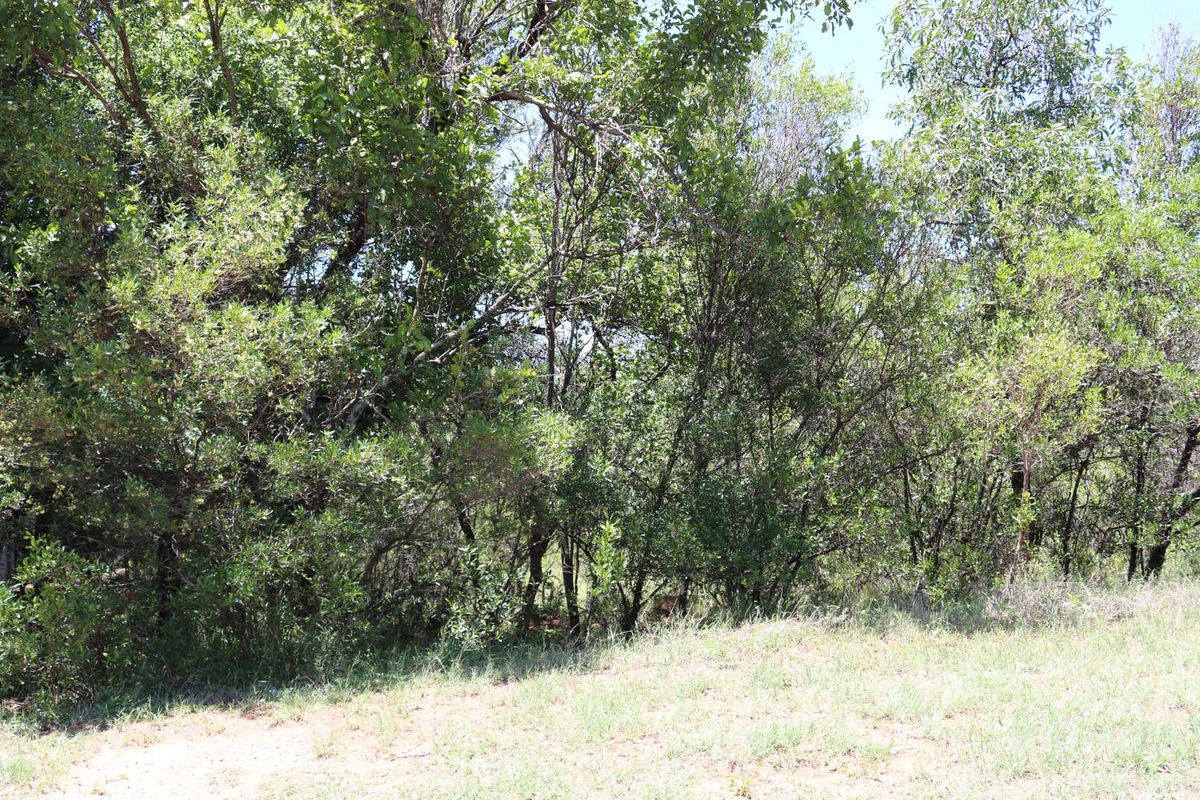Vacant Land Residential For Sale in Koro Creek Golf Estate - Photo 5