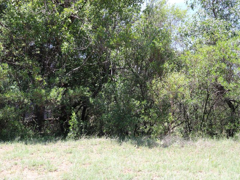Vacant Land Residential For Sale in Koro Creek Golf Estate - Photo 2