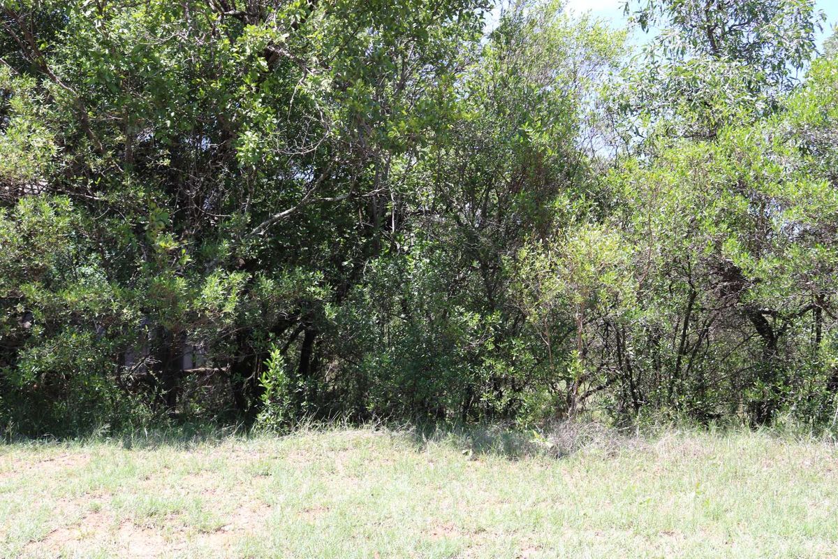 Vacant Land Residential For Sale in Koro Creek Golf Estate - Photo 2