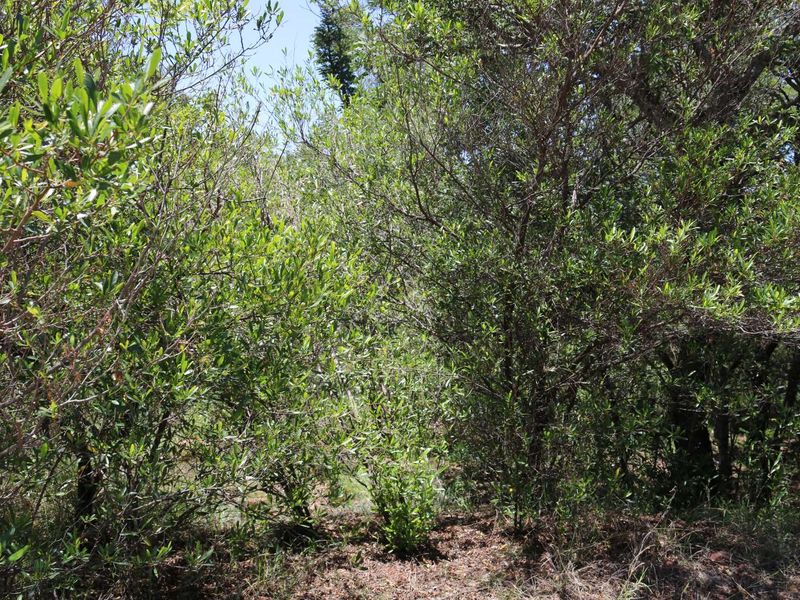 Vacant Land Residential For Sale in Koro Creek Golf Estate - Photo 10