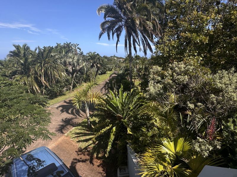 House For Sale in Palm Beach - Photo 7