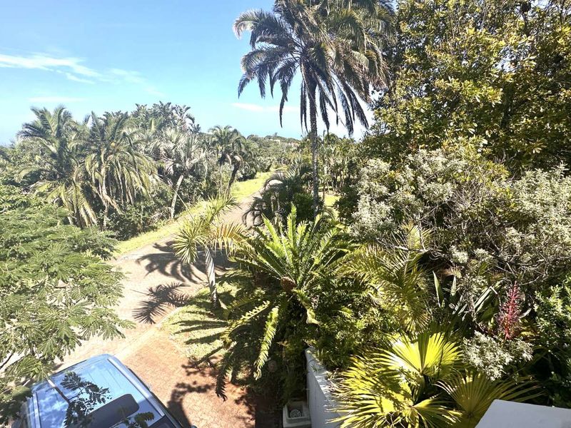 House For Sale in Palm Beach - Photo 6