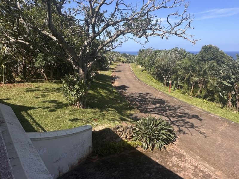 House For Sale in Palm Beach - Photo 5