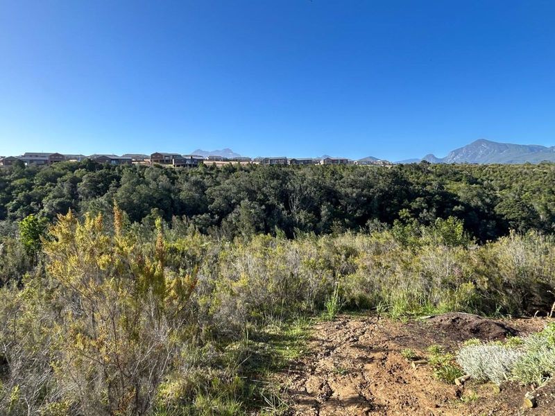 Vacant Land Residential For Sale in Welgelegen - Photo 5