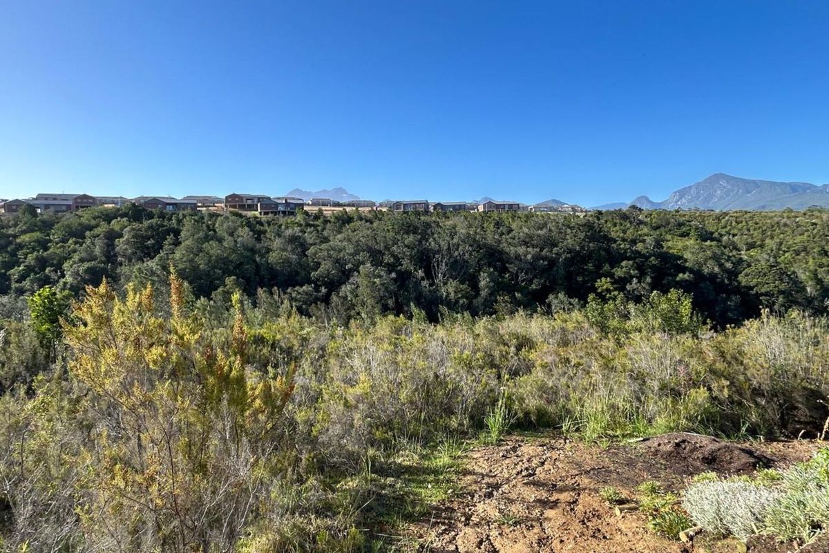 Vacant Land Residential For Sale in Welgelegen - Photo 5