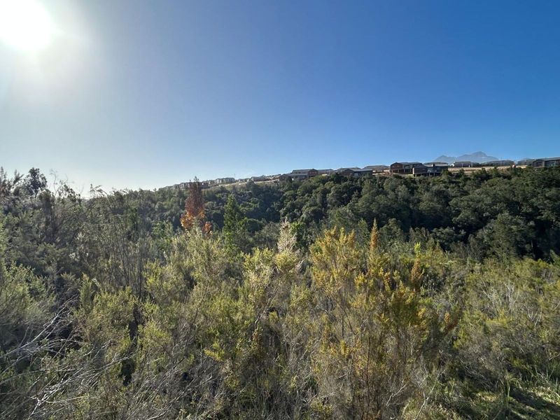 Vacant Land Residential For Sale in Welgelegen - Photo 4