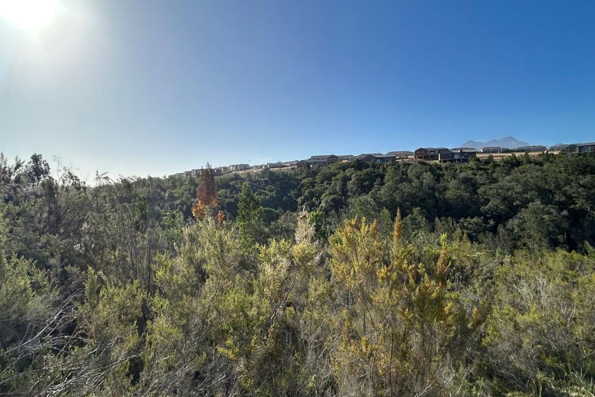 Vacant Land Residential For Sale in Welgelegen - Photo 4