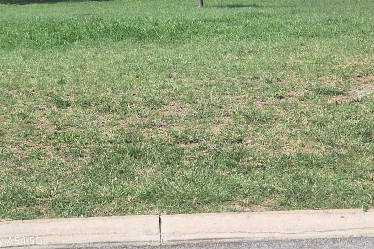 Vacant Land Residential For Sale in Bendor - Photo 4