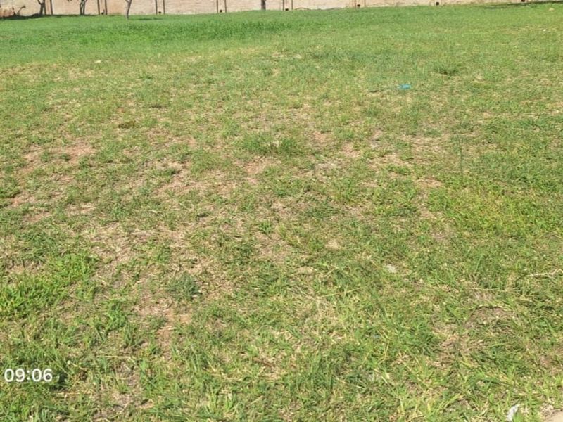 Vacant Land Residential For Sale in Bendor - Photo 2