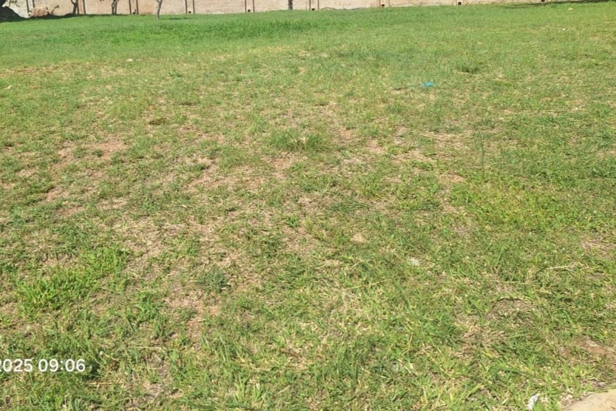 Vacant Land Residential For Sale in Bendor - Photo 2