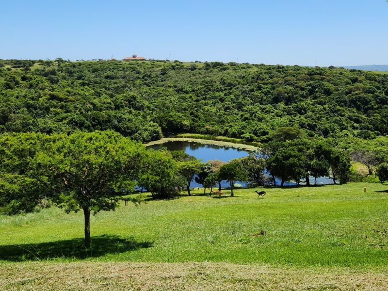 Vacant Land Residential For Sale in Khamanga Bay - Photo 8