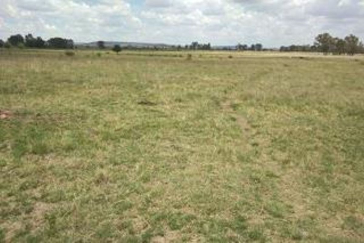 Farm For Sale in Marquard Rural - Photo 5