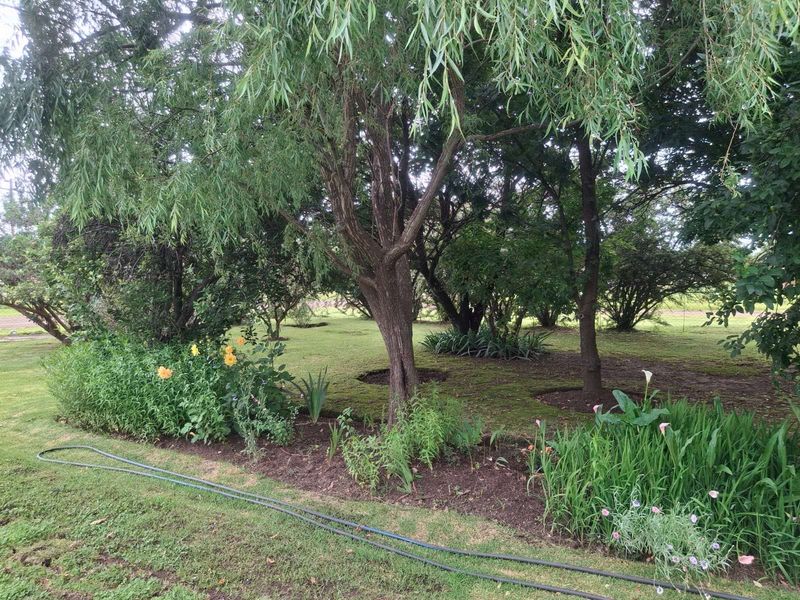 House For Sale in Wakkerstroom Central - Photo 4