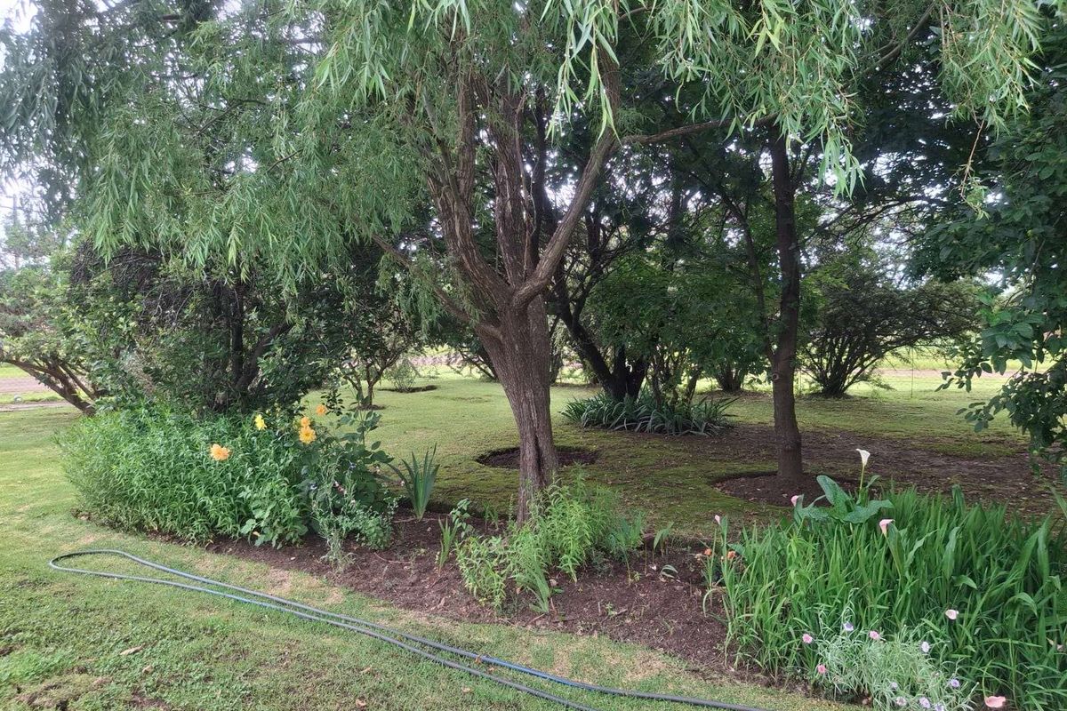 House For Sale in Wakkerstroom Central - Photo 4