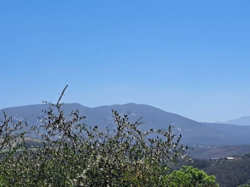 Vacant Land Residential For Sale in Hoekwil - Photo 10