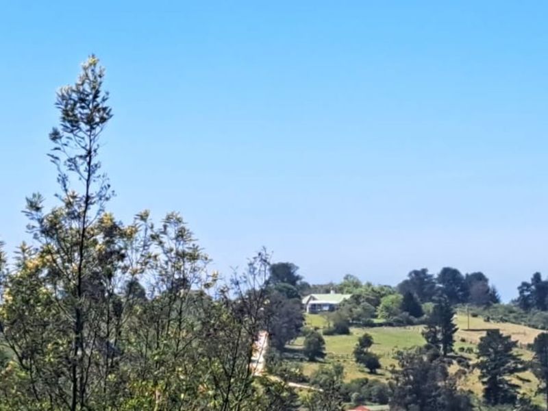 Vacant Land Residential For Sale in Hoekwil - Photo 7