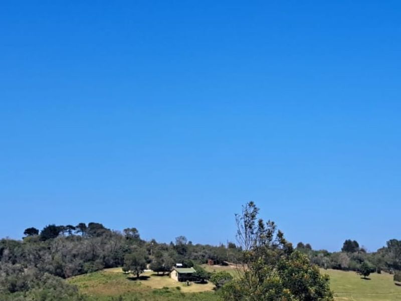 Vacant Land Residential For Sale in Hoekwil - Photo 2