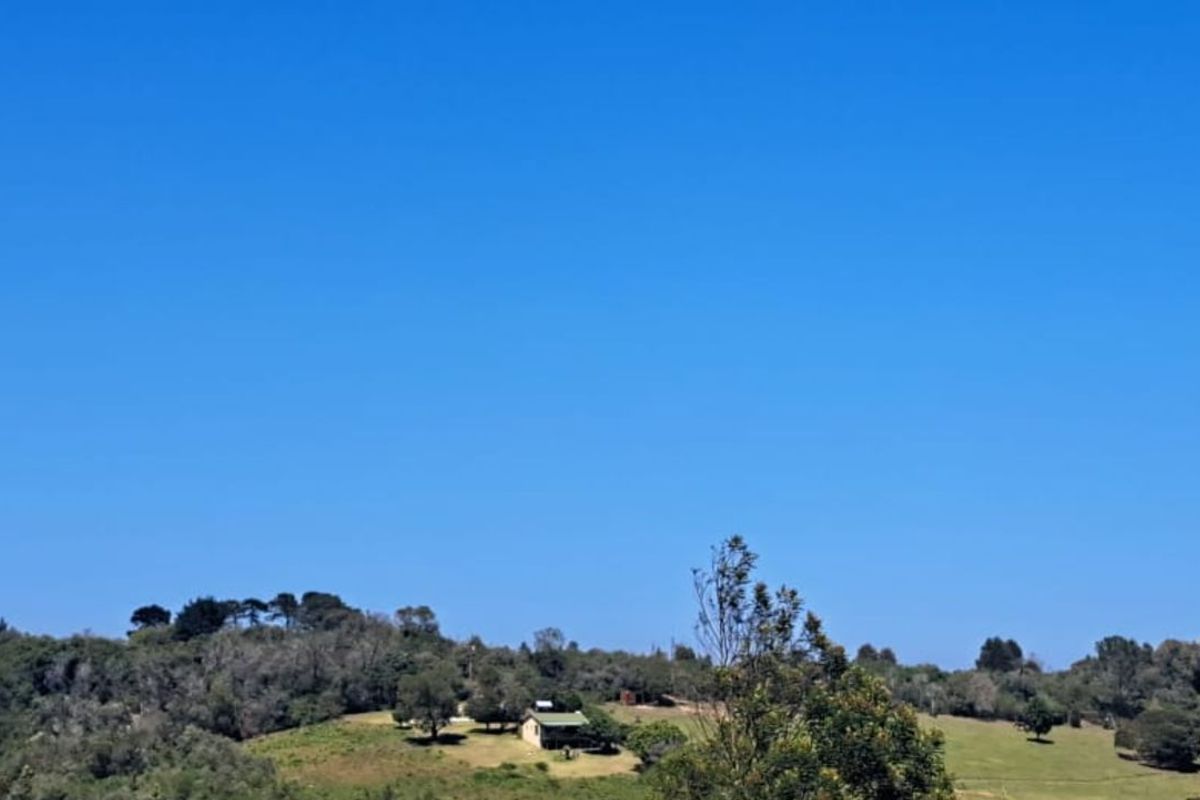 Vacant Land Residential For Sale in Hoekwil - Photo 2