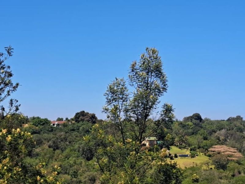 Vacant Land Residential For Sale in Hoekwil - Photo 6