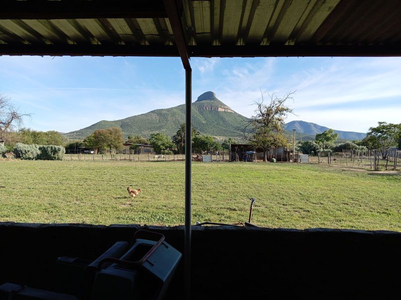 House For Sale in Adendorp - Photo 10