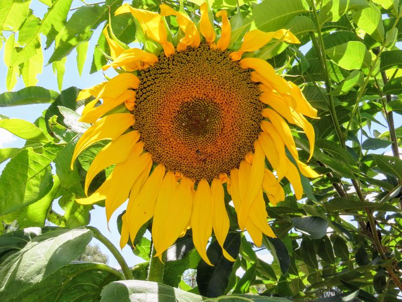 House For Sale in Ventersdorp Central - Photo 4