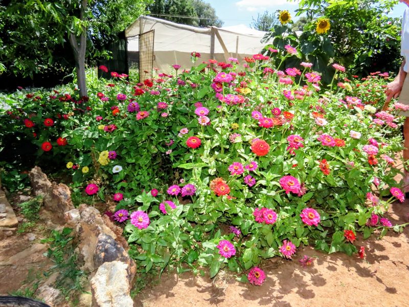 House For Sale in Ventersdorp Central - Photo 7